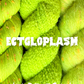 ECTGLOPLASM 🎾 pre-order